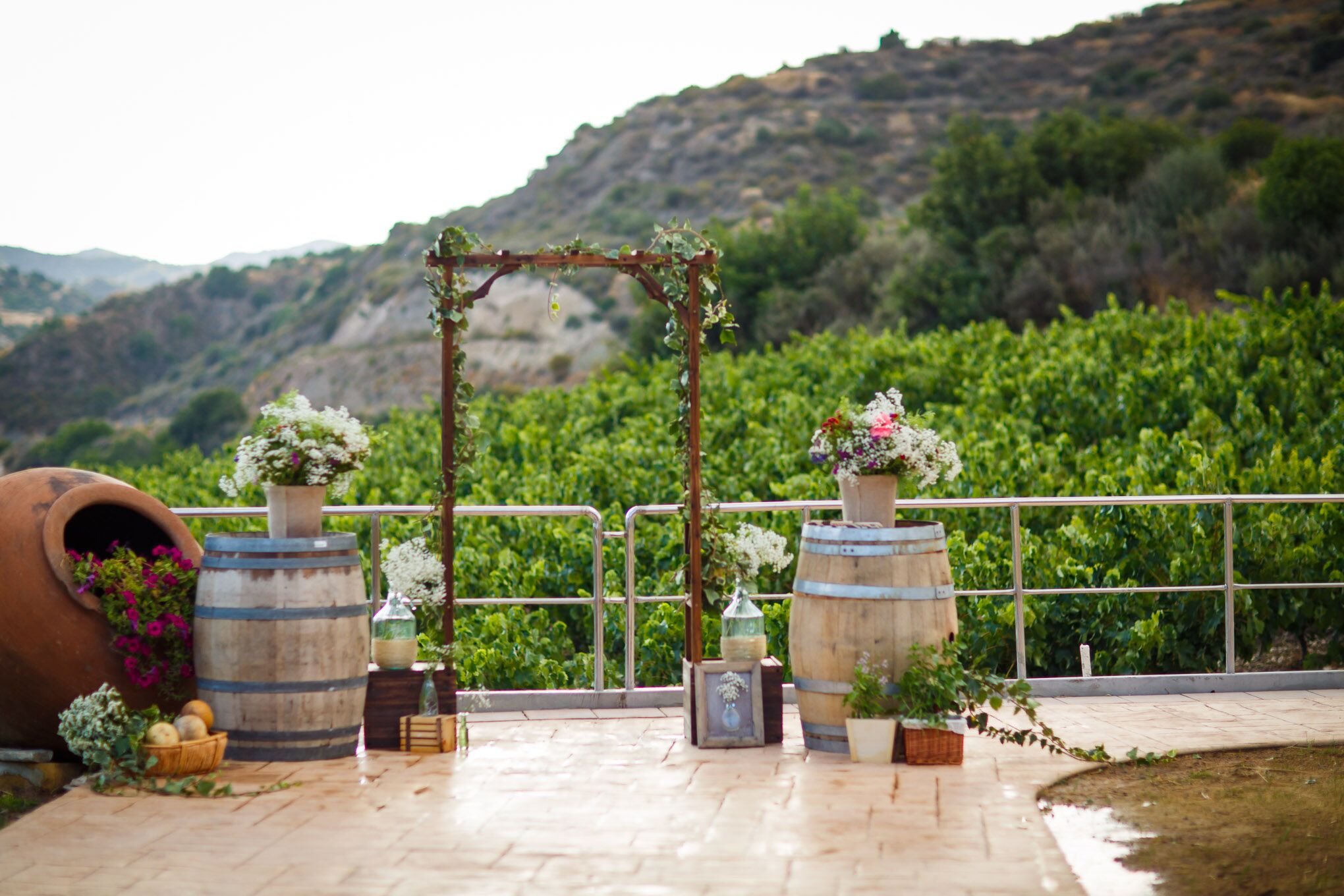 свадьба на Кипрской винодельне