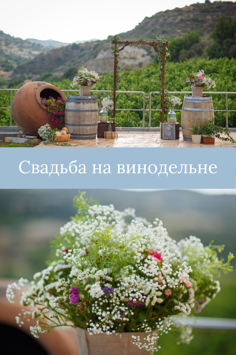 свадьба на Кипре на винодельне