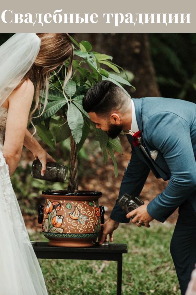 ритуал посадки дерева в день свадьбы