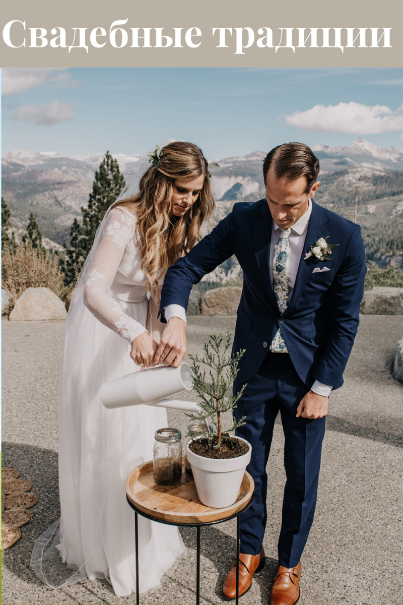 ритуал посадки дерева в день свадьбы
